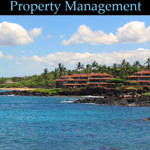 BMaui Property Manaagement